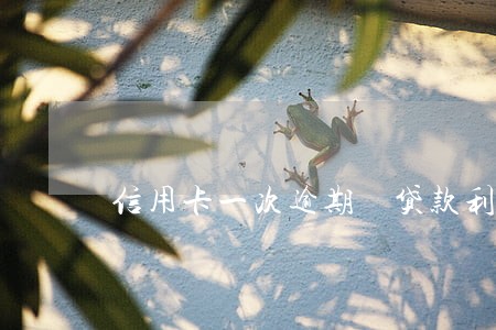 信用卡一次逾期 贷款利率 信用卡一次逾期 贷款利率